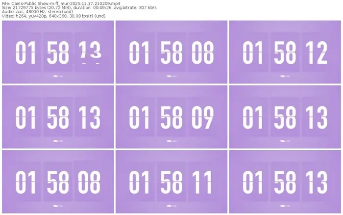 cams-ff_mur-11-17-2025-21-02-09