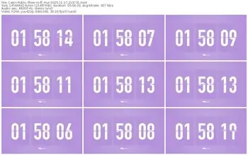 cams-ff_mur-11-17-2025-21-37-31