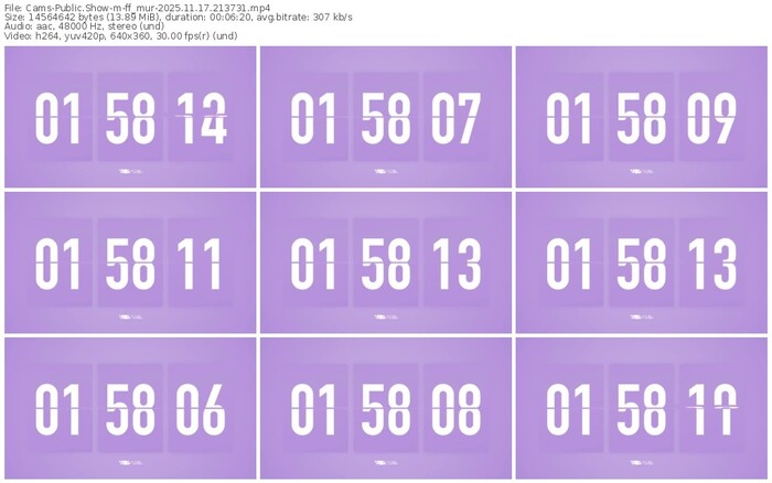 cams-ff_mur-11-17-2025-21-37-31