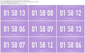 cams-ff_mur-11-17-2025-21-47-01