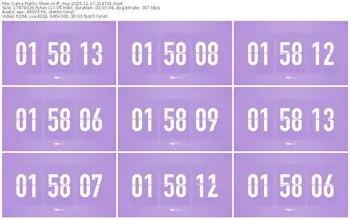 cams-ff_mur-11-17-2025-21-47-01