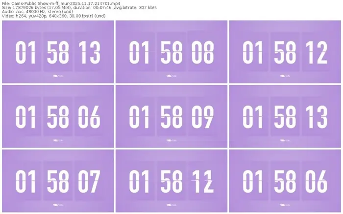 cams-ff_mur-11-17-2025-21-47-01
