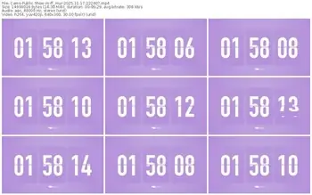 cams-ff_mur-11-17-2025-22-24-07