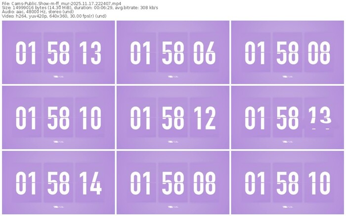 cams-ff_mur-11-17-2025-22-24-07