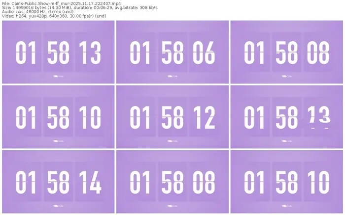 cams-ff_mur-11-17-2025-22-24-07