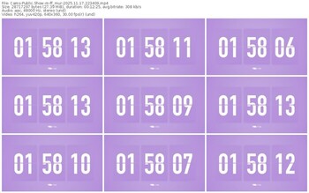 cams-ff_mur-11-17-2025-22-34-09