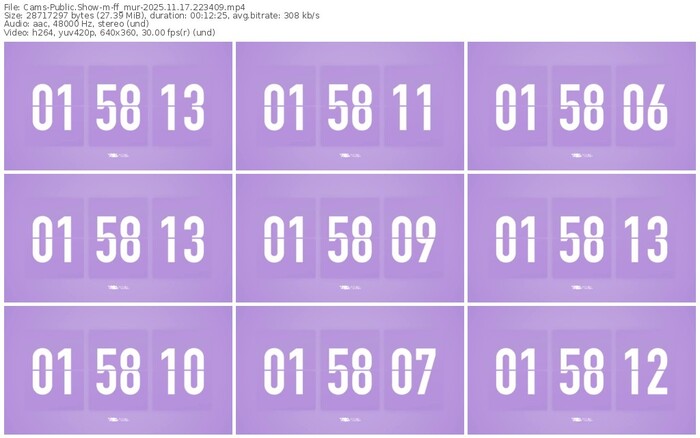cams-ff_mur-11-17-2025-22-34-09