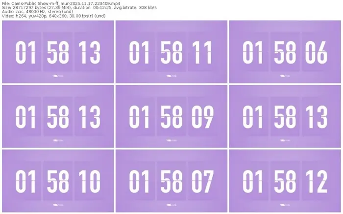cams-ff_mur-11-17-2025-22-34-09