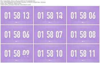 cams-ff_mur-11-17-2025-22-51-04