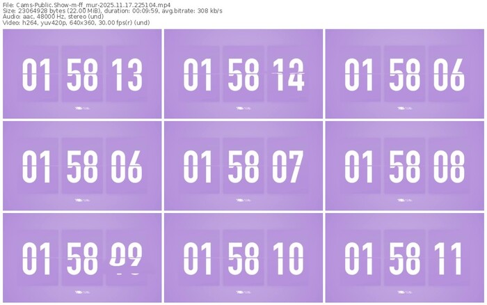 cams-ff_mur-11-17-2025-22-51-04