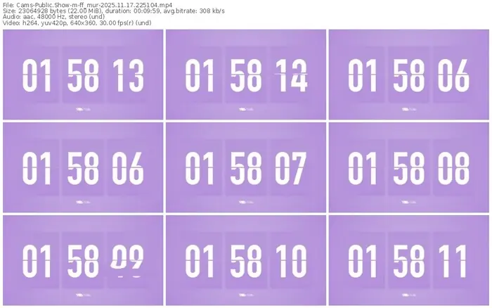 cams-ff_mur-11-17-2025-22-51-04