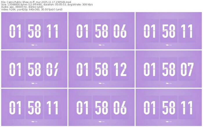 cams-ff_mur-11-17-2025-23-05-49