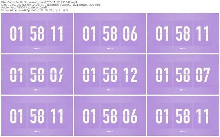 cams-ff_mur-11-17-2025-23-05-49