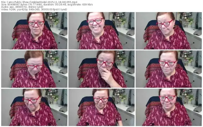 cams-adeleemodel-11-18-2025-04-10-55
