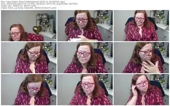 cams-adeleemodel-11-18-2025-06-35-01