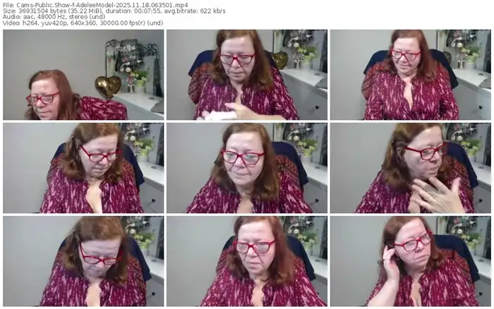 cams-adeleemodel-11-18-2025-06-35-01