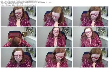 cams-adeleemodel-11-18-2025-06-48-03