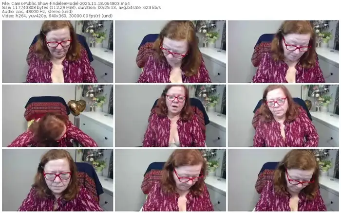 cams-adeleemodel-11-18-2025-06-48-03