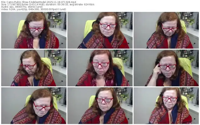 cams-adeleemodel-11-18-2025-07-13-28