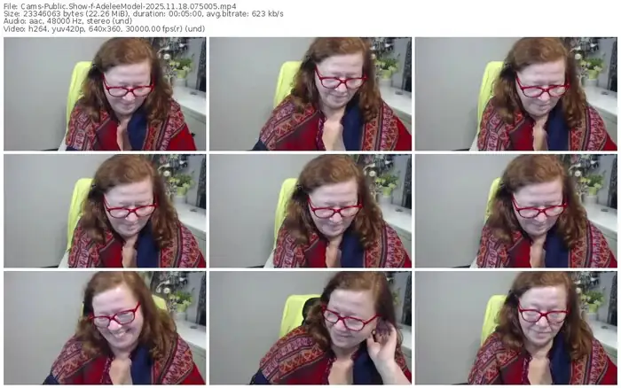 cams-adeleemodel-11-18-2025-07-50-05