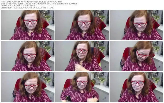 cams-adeleemodel-11-18-2025-08-49-42