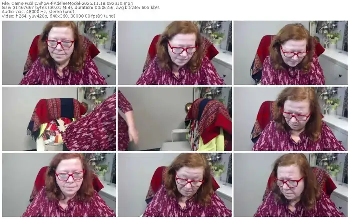 cams-adeleemodel-11-18-2025-09-23-10