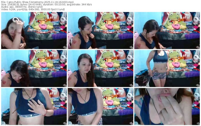 cams-aniehorny-11-18-2025-16-24-33
