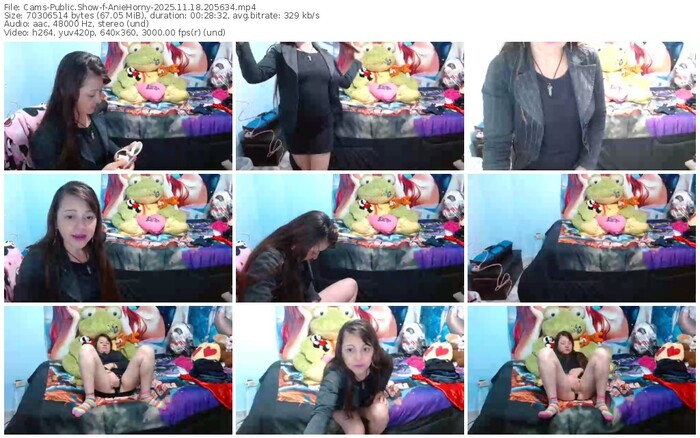 cams-aniehorny-11-18-2025-20-56-34