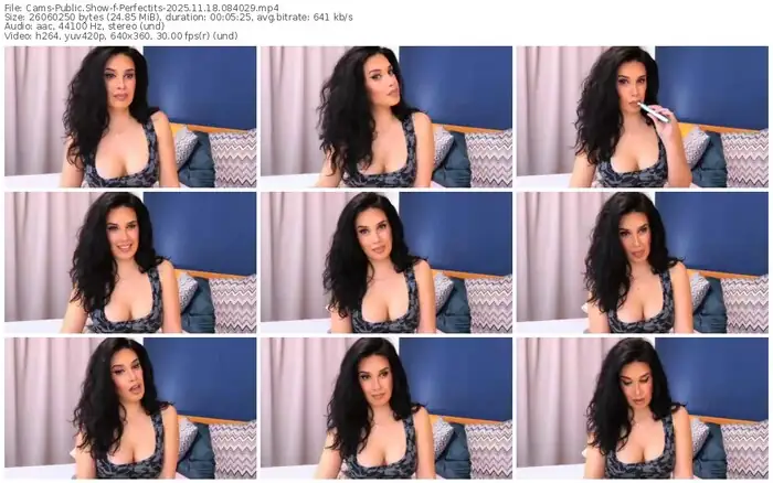 cams-perfectits-11-18-2025-08-40-29