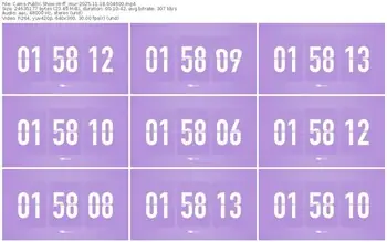 cams-ff_mur-11-18-2025-00-46-00