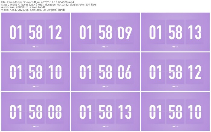 cams-ff_mur-11-18-2025-00-46-00