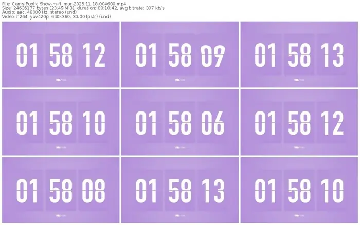 cams-ff_mur-11-18-2025-00-46-00