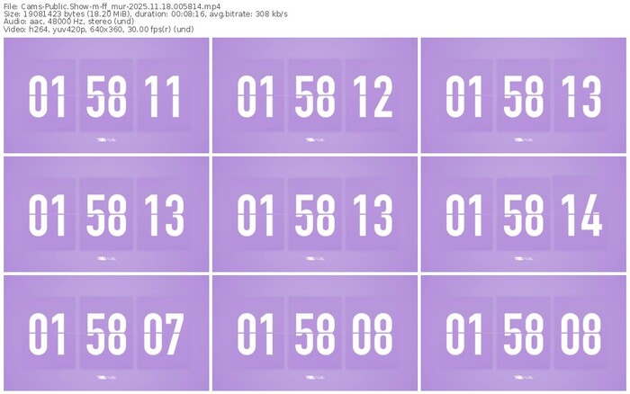 cams-ff_mur-11-18-2025-00-58-14