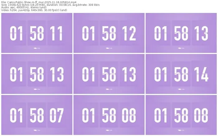 cams-ff_mur-11-18-2025-00-58-14