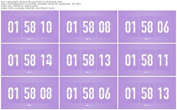 cams-ff_mur-11-18-2025-01-10-41