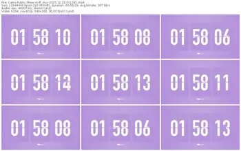 cams-ff_mur-11-18-2025-01-10-41