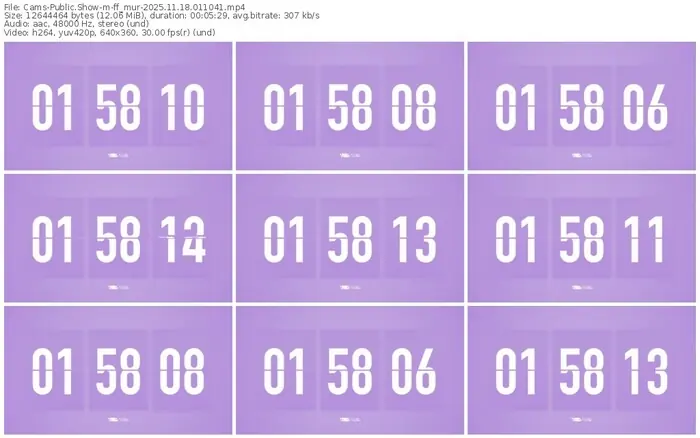 cams-ff_mur-11-18-2025-01-10-41