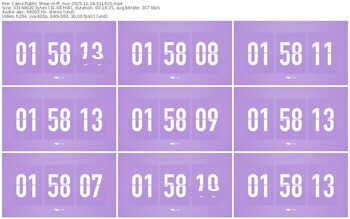 cams-ff_mur-11-18-2025-01-16-15