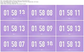 cams-ff_mur-11-18-2025-01-16-15