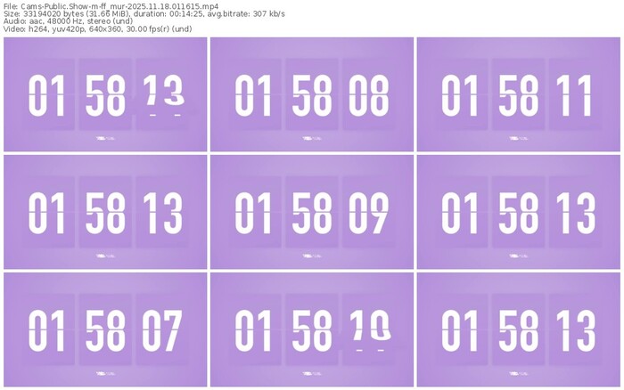 cams-ff_mur-11-18-2025-01-16-15