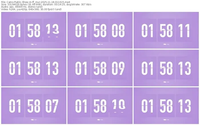 cams-ff_mur-11-18-2025-01-16-15