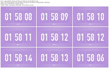 cams-ff_mur-11-18-2025-01-38-27