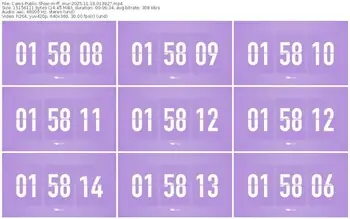 cams-ff_mur-11-18-2025-01-38-27