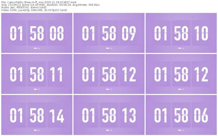 cams-ff_mur-11-18-2025-01-38-27