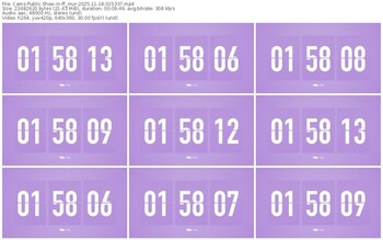 cams-ff_mur-11-18-2025-01-53-37