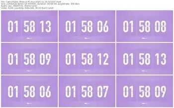 cams-ff_mur-11-18-2025-01-53-37