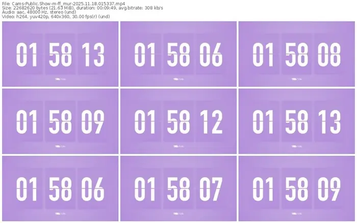 cams-ff_mur-11-18-2025-01-53-37