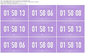 cams-ff_mur-11-18-2025-02-04-45