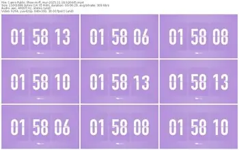 cams-ff_mur-11-18-2025-02-04-45