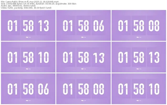 cams-ff_mur-11-18-2025-02-04-45